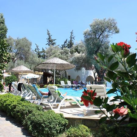 Toloman Bitezpark Apartments Bodrum Exterior photo
